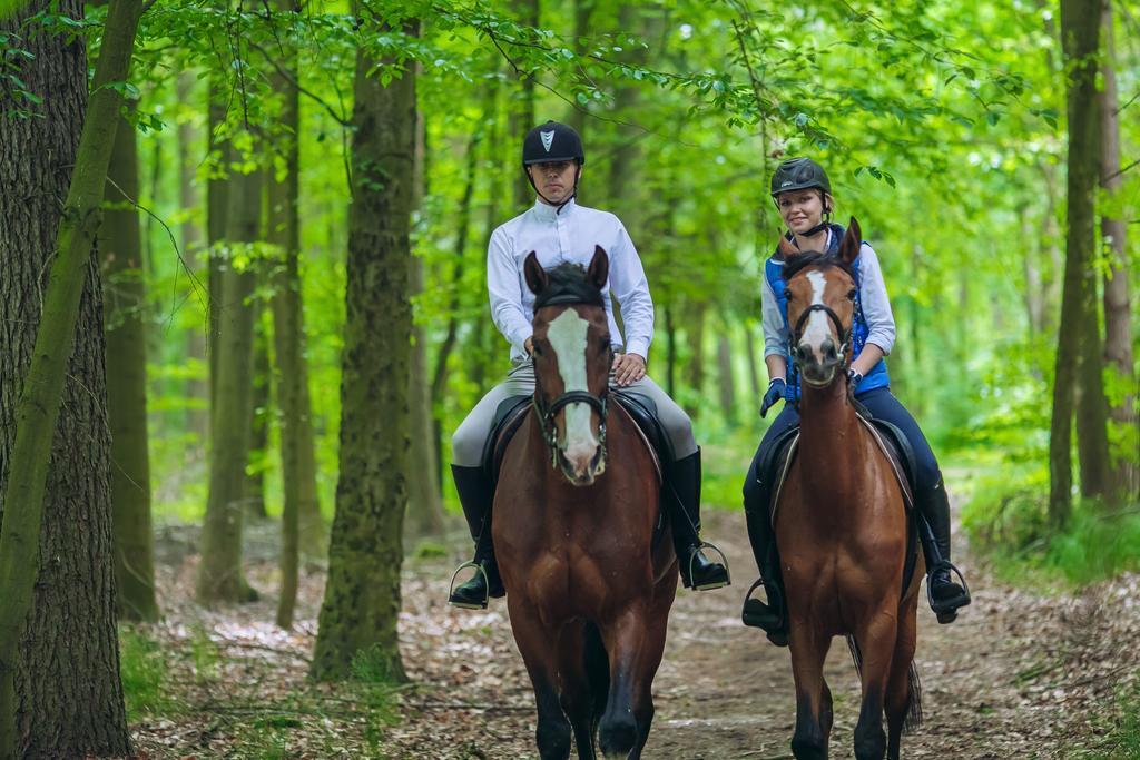 Hubertus Aparthotel & Restaurant & Horse Club Старогард-Гданський Номер фото